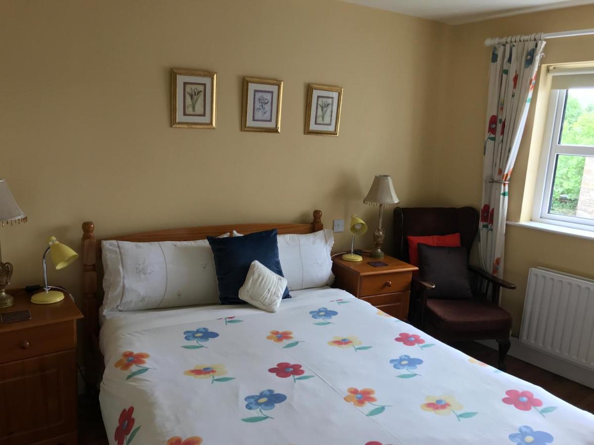 Teac Seain Bar & Bnb Anascaul 외부 사진