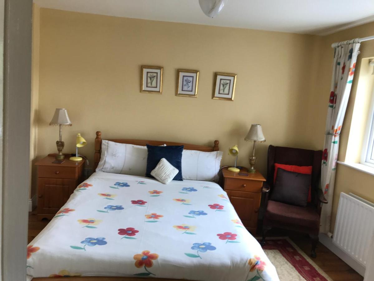 Teac Seain Bar & Bnb Anascaul 외부 사진